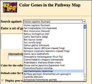 Color Kegg Pathways Tutorial